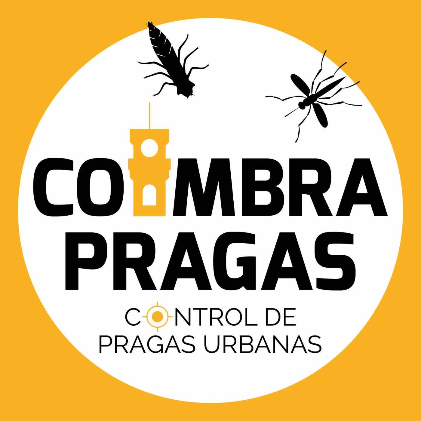 Cofinanciamento